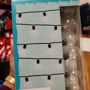 String Lights with Black Wire